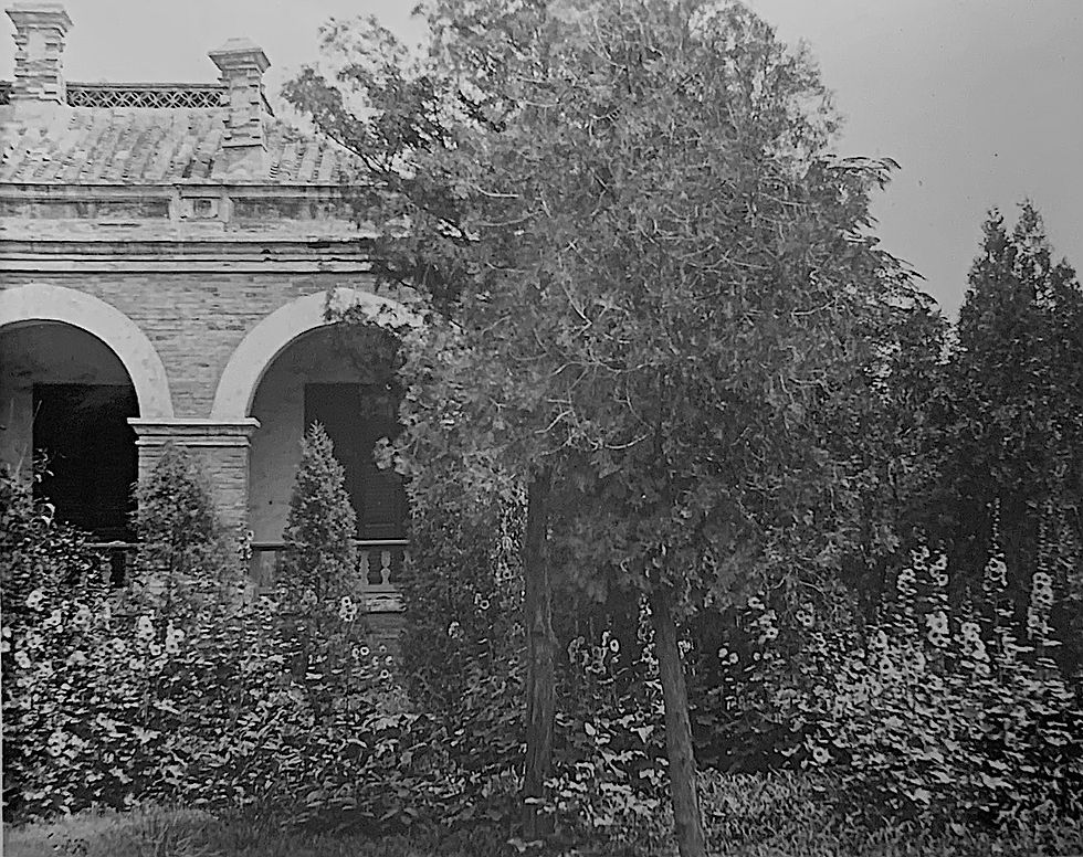 gharden ttee terrace