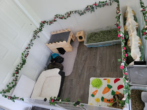 Our Bunny Room....Yes, they have their own room!