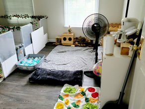 Bedding, Toys & Pen Décor