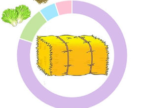 What Does a Healthy Rabbit Diet Consist of?