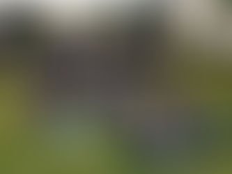 Φεστιβάλ Γυμναστικής Γερμανία 1995