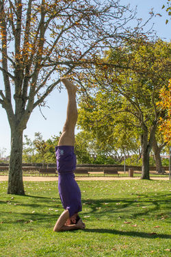 Yoga Santarém - Patricio Bastos