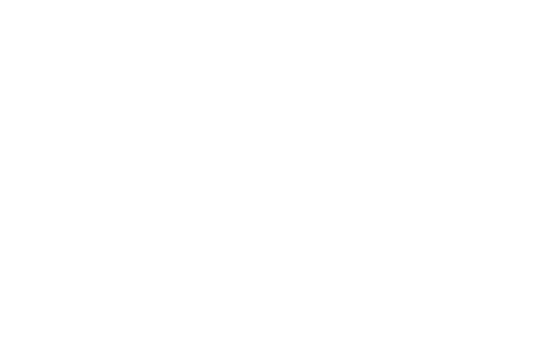 AyurNirvana Logo.png