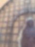 IMG_8055.jpeg