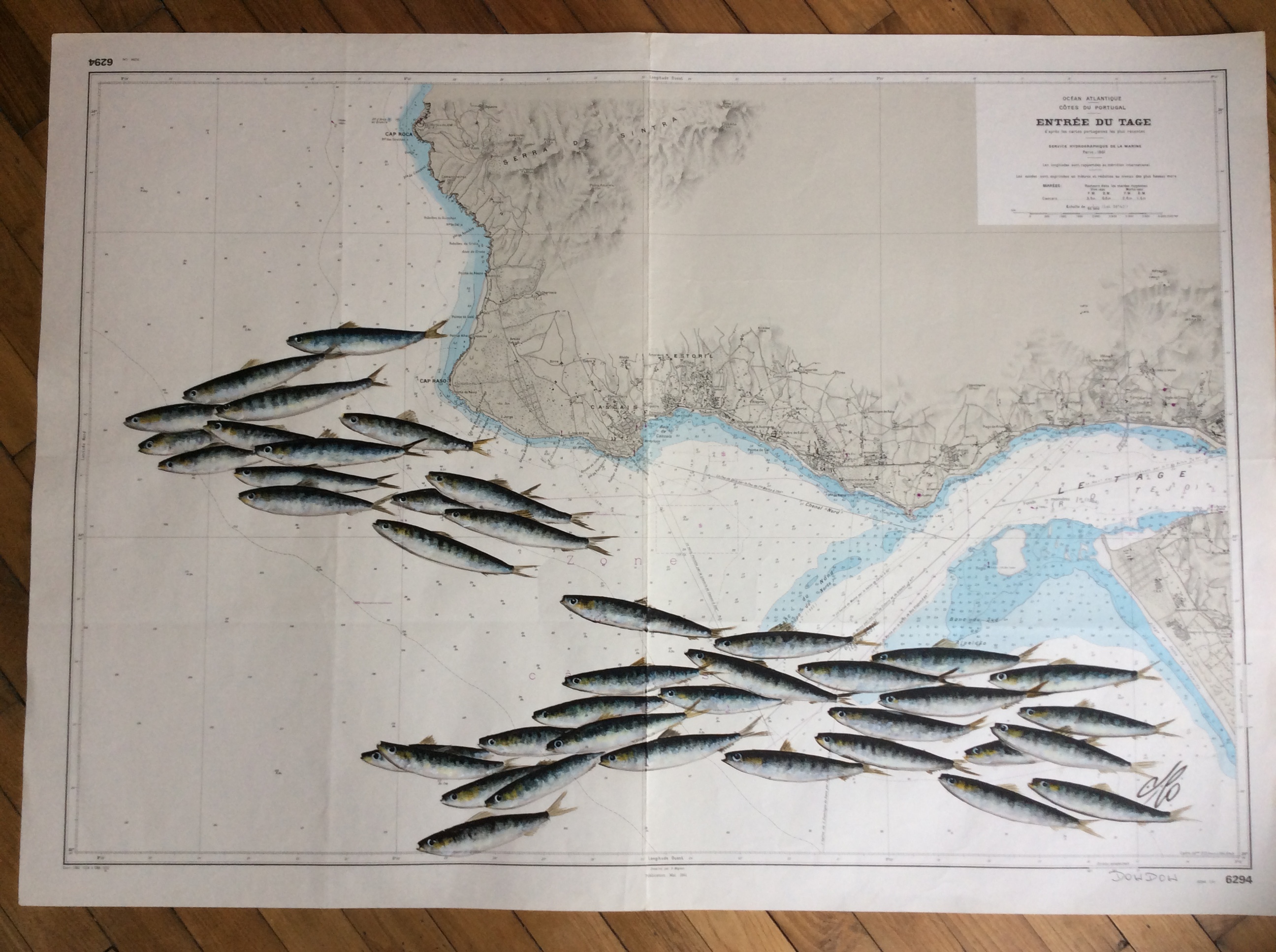 carte du portugal et sardines