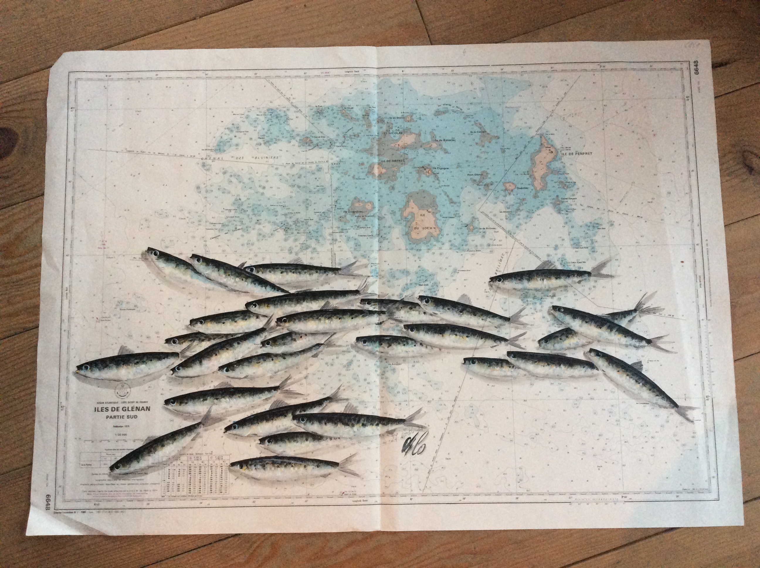 Sardines sur carte des Glenan