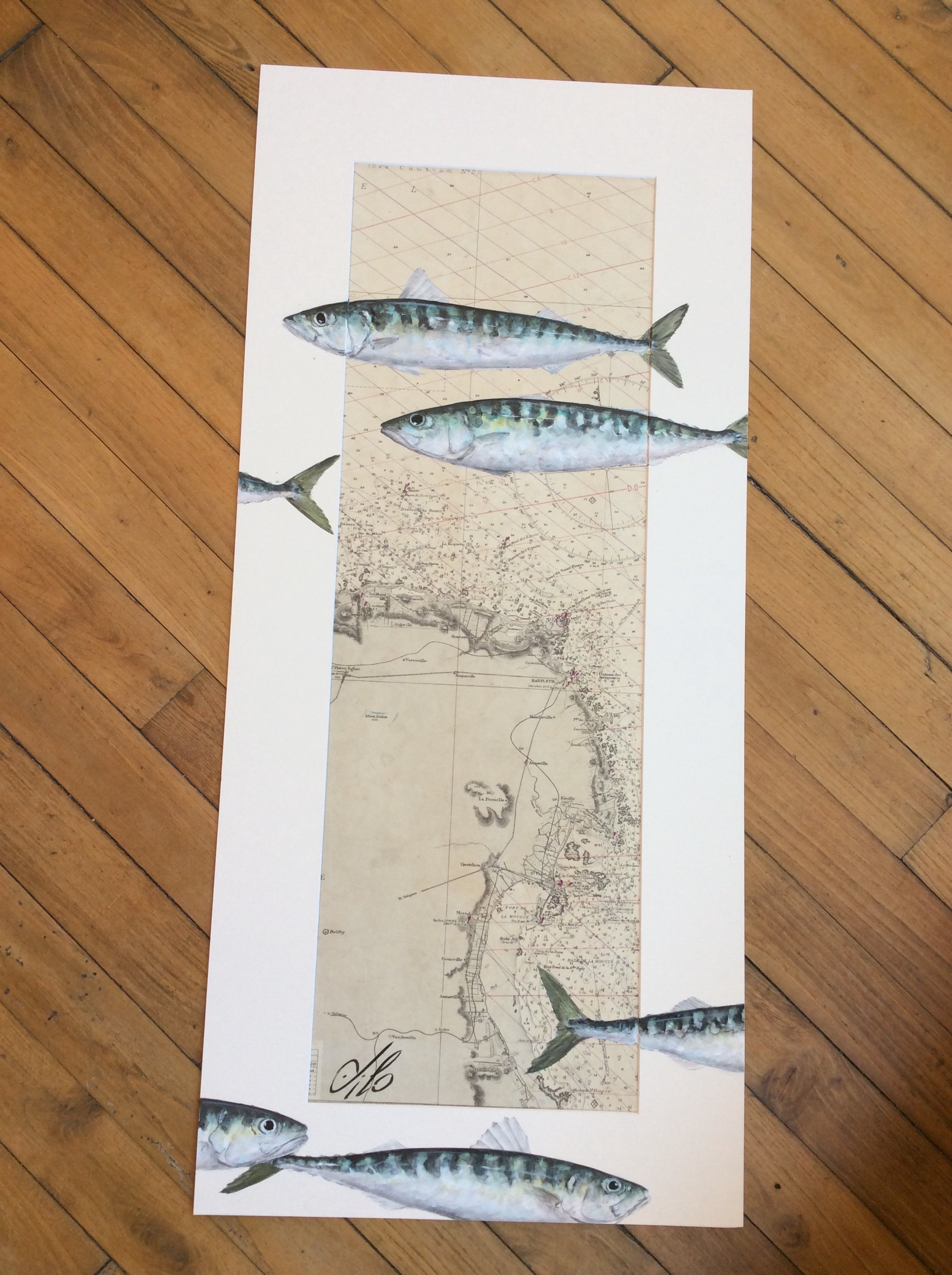 maquereaux