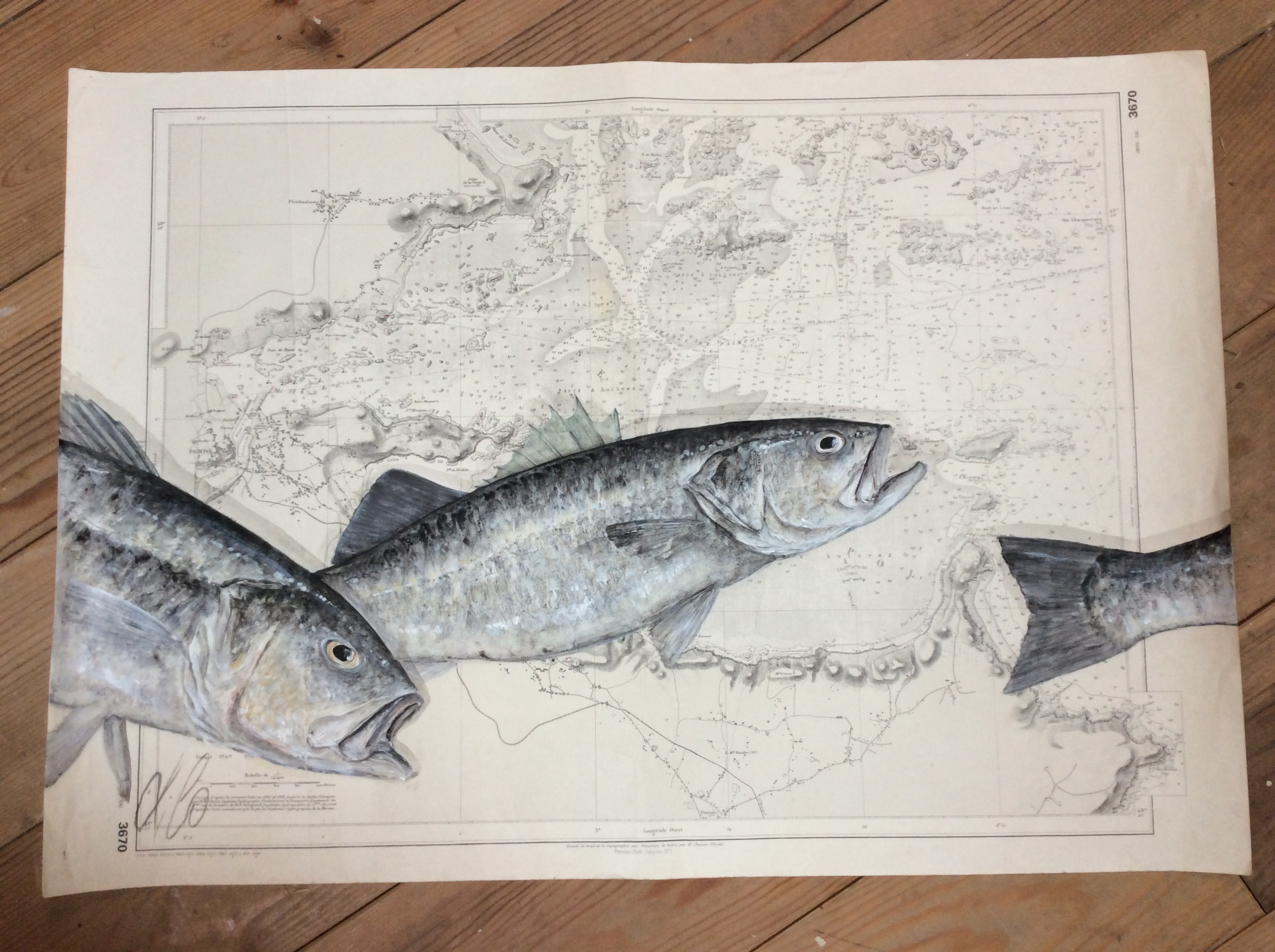 Carte paimpol 75 x 53 Bars
