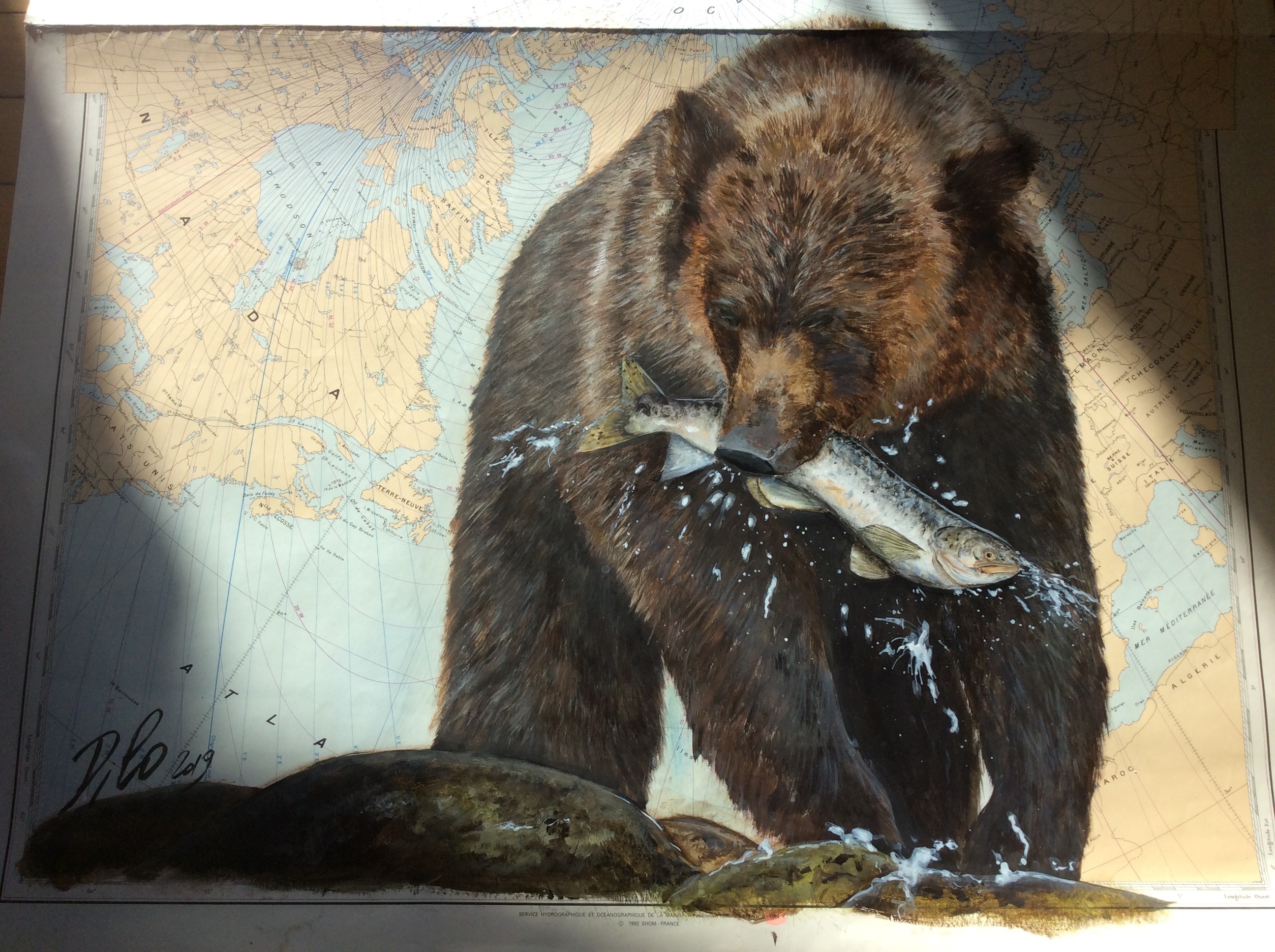 grizzli
