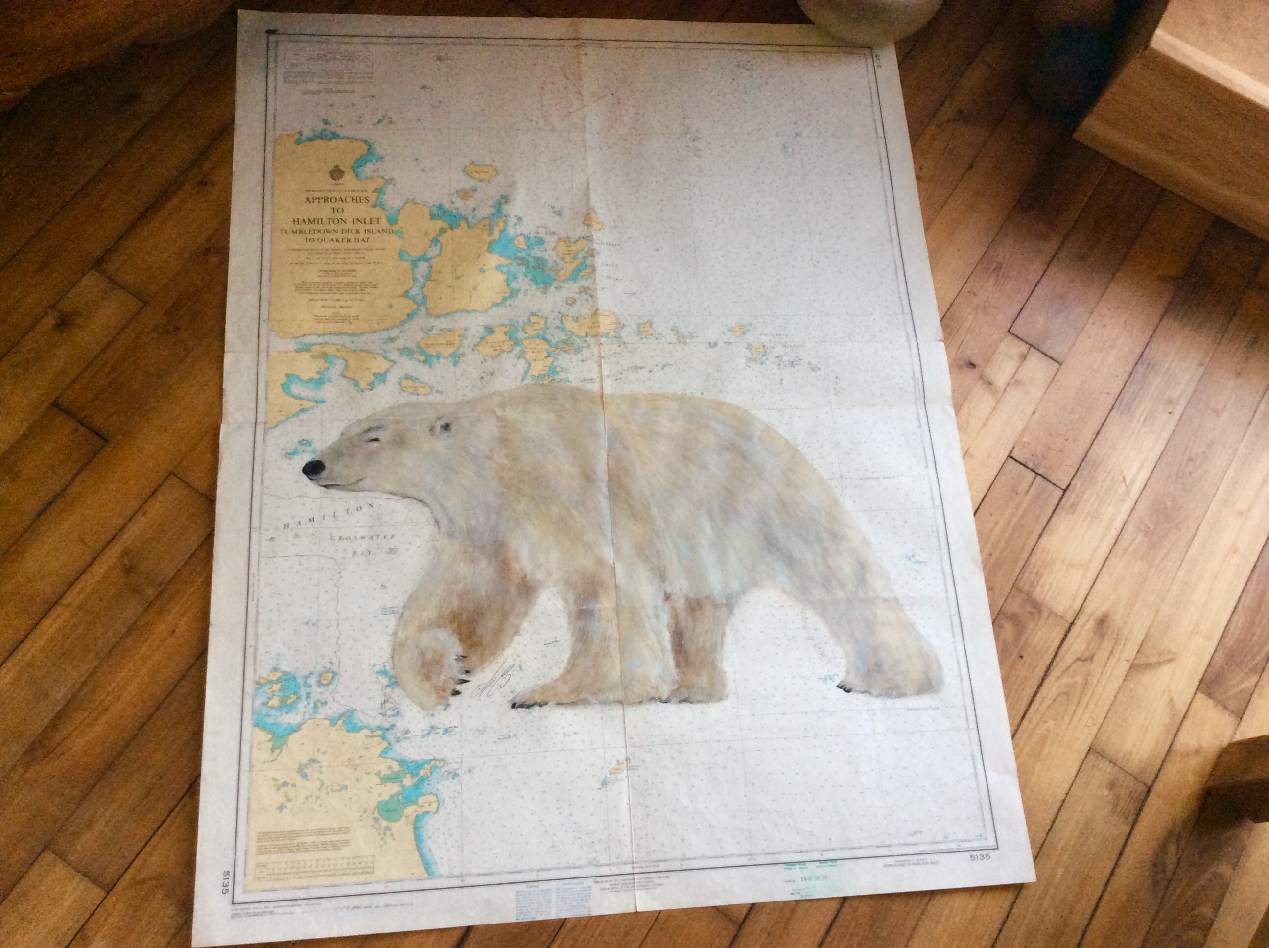 Ours polaire