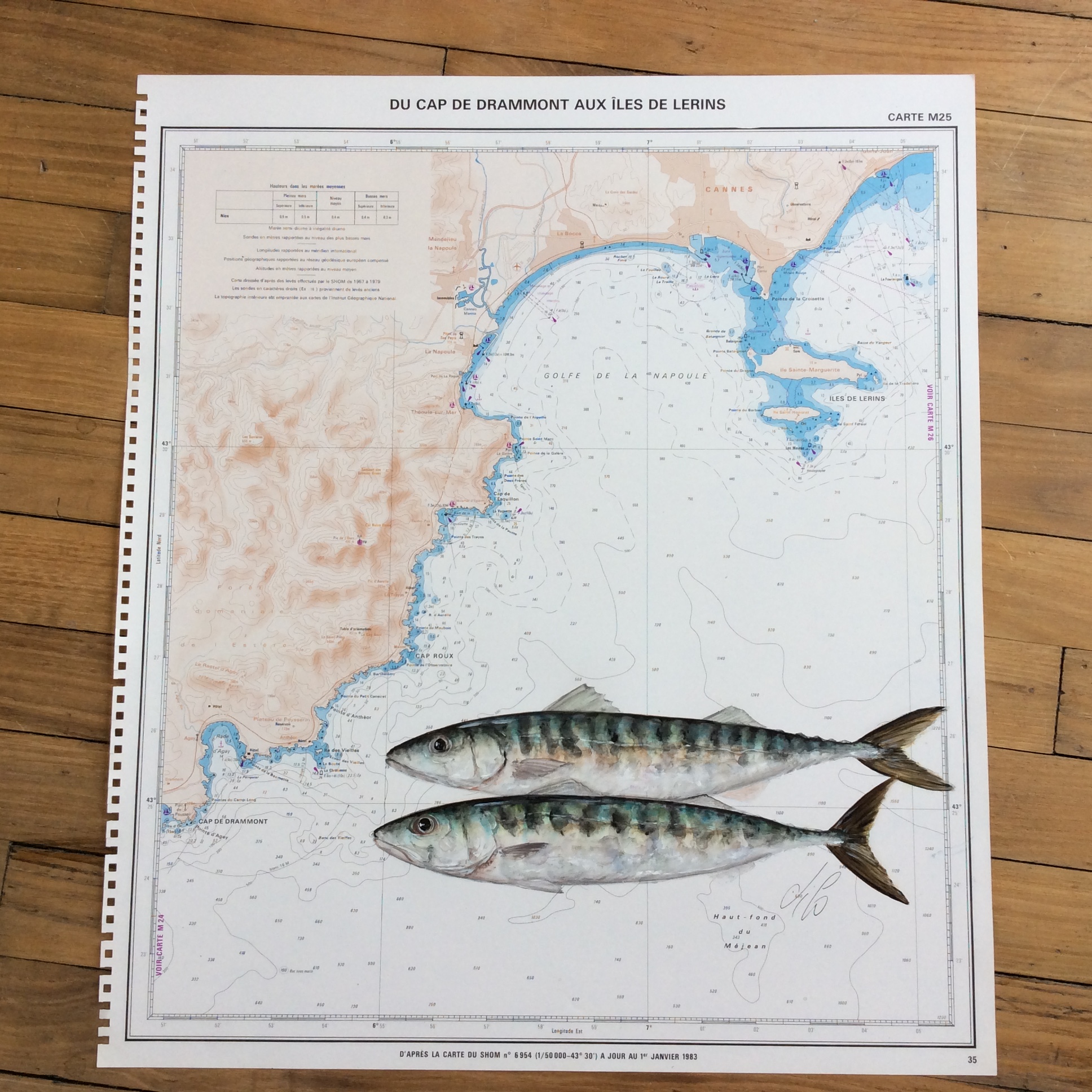 Maquereaux sur carte d’atlas IGN