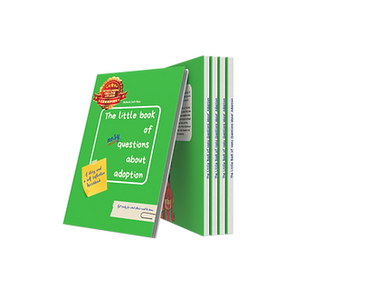 Render_Mockup_1600_1200_2026-06-13 (20).png
