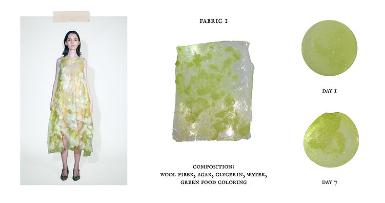 Herbarium Website Words12.jpg