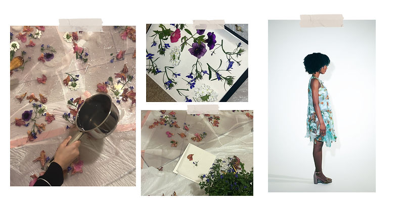 Herbarium Website Words17.jpg