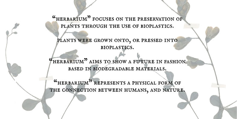 Herbarium Website Words3.jpg