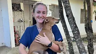 Volunteer abroad working with dogs. Volunteer abroad Tanzania