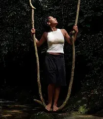 Volunteer abroad in Sumatra. Orangutan conservation projects. Orangutan volunteering