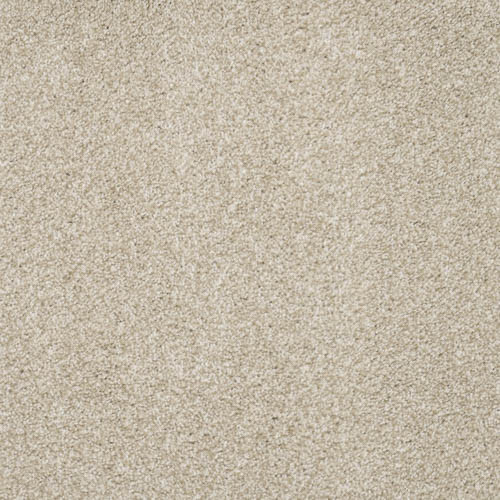 Charme 995 Cream Christchurch Carpets