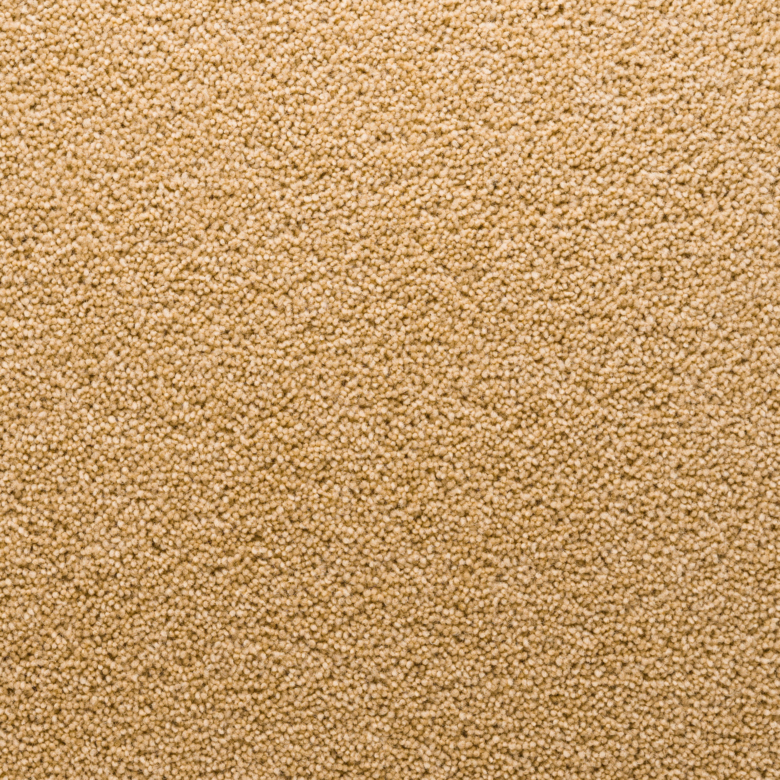 Stateside Carpet Florida