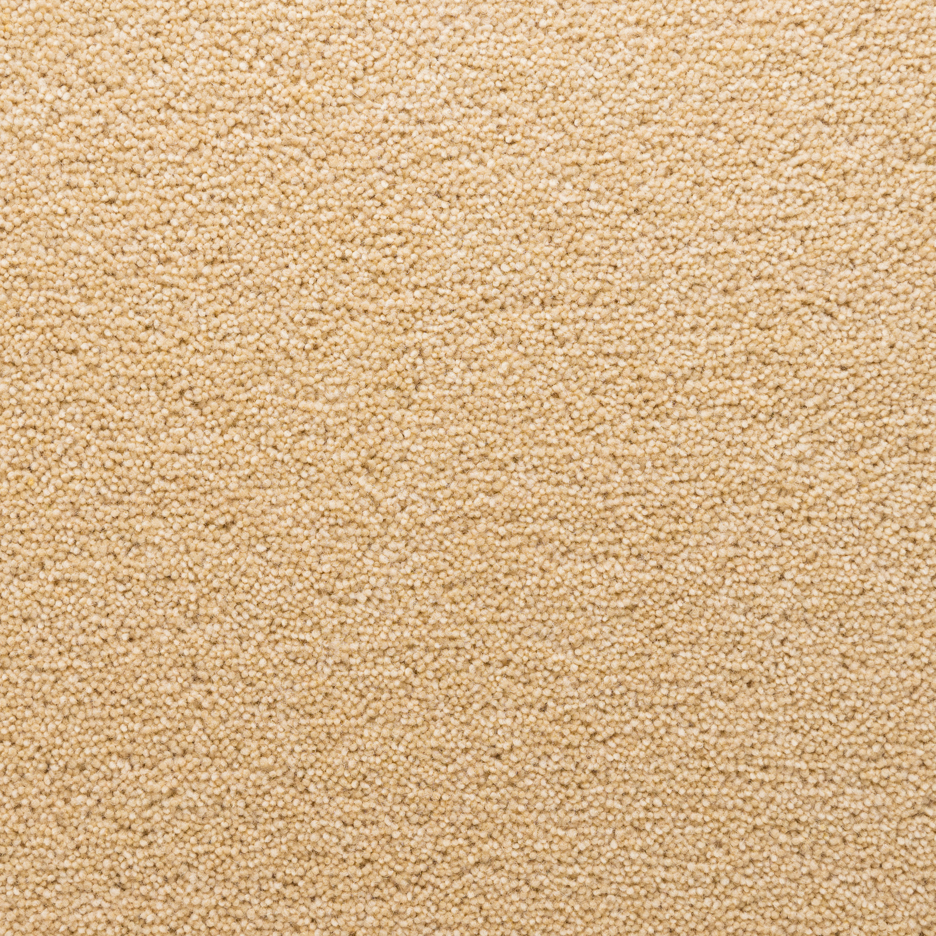 Stateside Carpet Cloisters