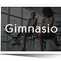 Gym 02