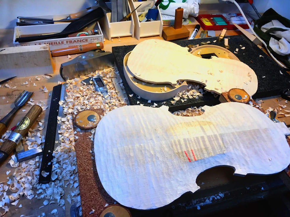 彫刻された音の地形図 ―バイオリン アーチが奏でる静かな情熱