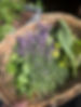 View recent photos-6.jpeg