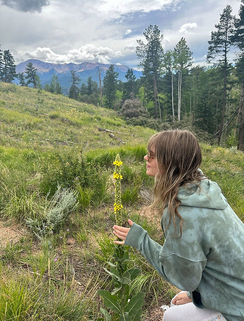 View recent photos-1.jpeg