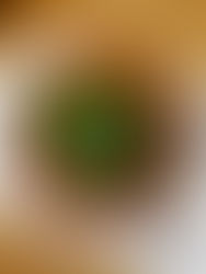 麦とグリーンリーフのサラダ。3/22正午撮影。