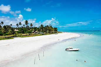 aerial-shot-clear-blue-sea-with-boat-forested-shore-beach-side.jpg