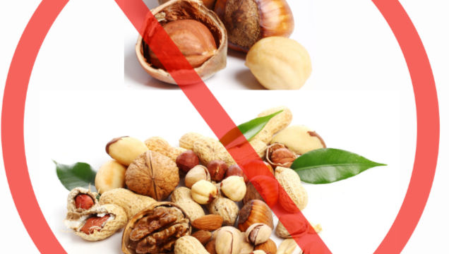 Törökmogyoró Olajos Magok