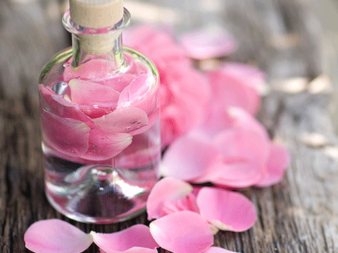Aromathérapie avignon