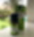 Thumbnail: Hortelã Pimenta