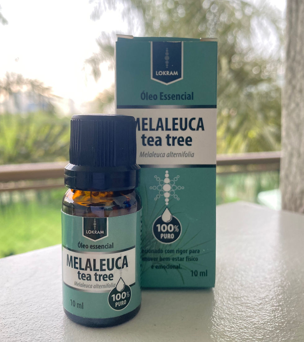 Miniatura: Melaleuca