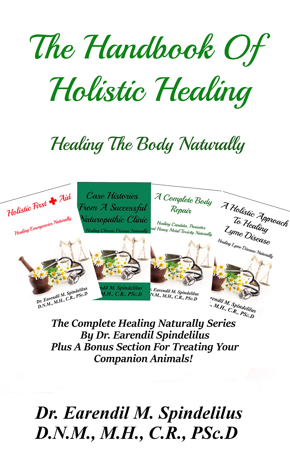 Book - The Handbook Of Holistic Healing - Paperback
