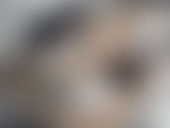 Maximizing Space: Organization Solutions for Small Businesses