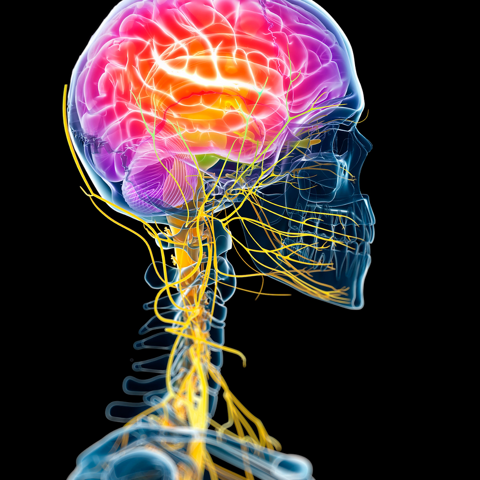 autonomic nervous system stages of change manage stress naturally keynote speaker wellness Eric Stephenson