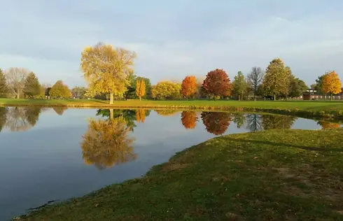 ah blank golf course.webp