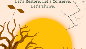 Blog - World Day to Combat Desertification and Drought 2025 - “United for Land. Our Legacy. Our Future.”