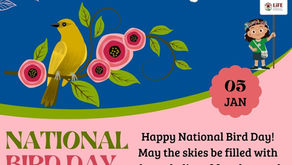Blog - National Bird Day: Celebrating Bird Diversity as the Living Barometer of Our Planet