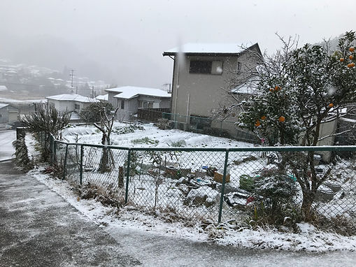 雪2 (2).JPG