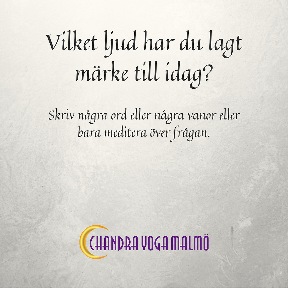 Vilket ljud har du lagt märke till idag?