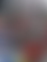 The words of the sailors upon their arrival in Gijón