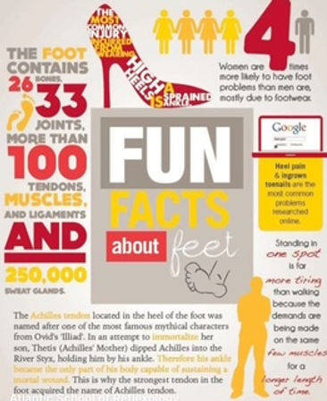 fun facts about feet