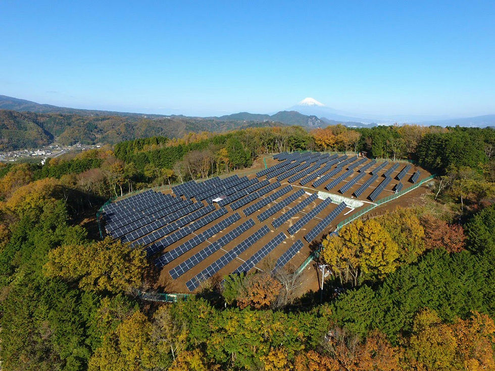 Flächenpacht für Solarparks: Was Grundeigentümer wissen müssen