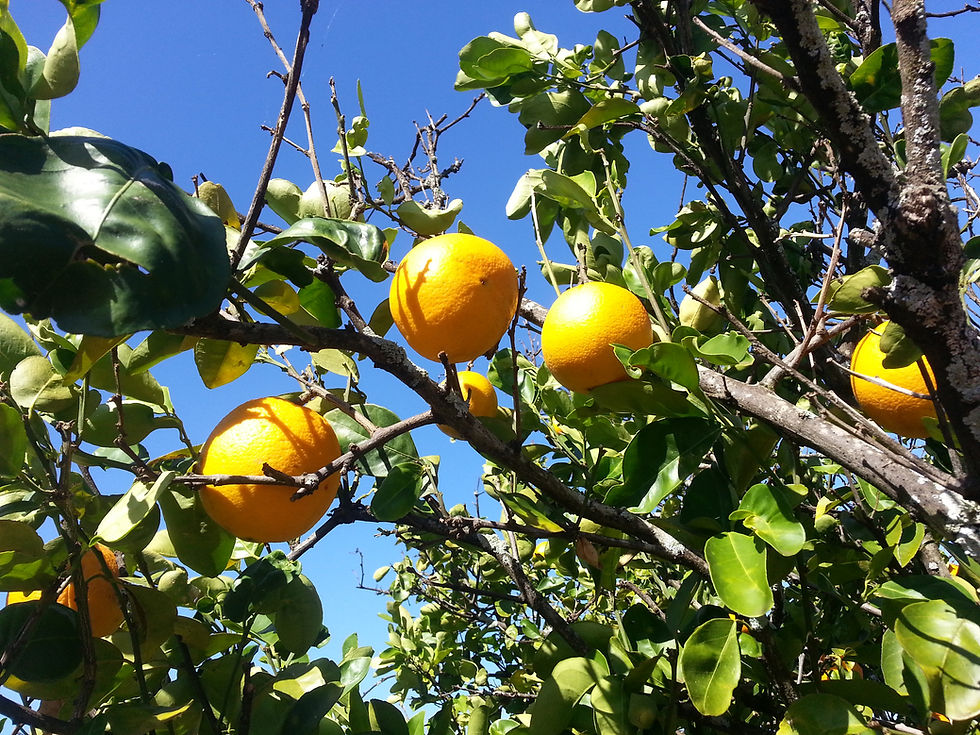20160315_100126.jpg