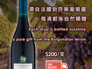 設計案例研究：為「Maison de Grand Esprit」勃艮第紅酒打造優雅海報
