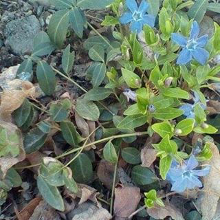 #spring #flowers #obsessed #art #artist #everymonday #newblog #adesignerexplains #kindle #ebook #author #writing #writers #blog #blogger #bl