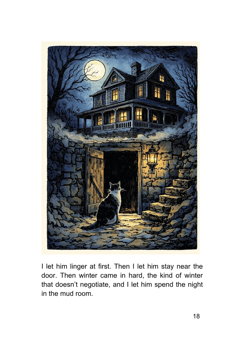 cat at the basement door
