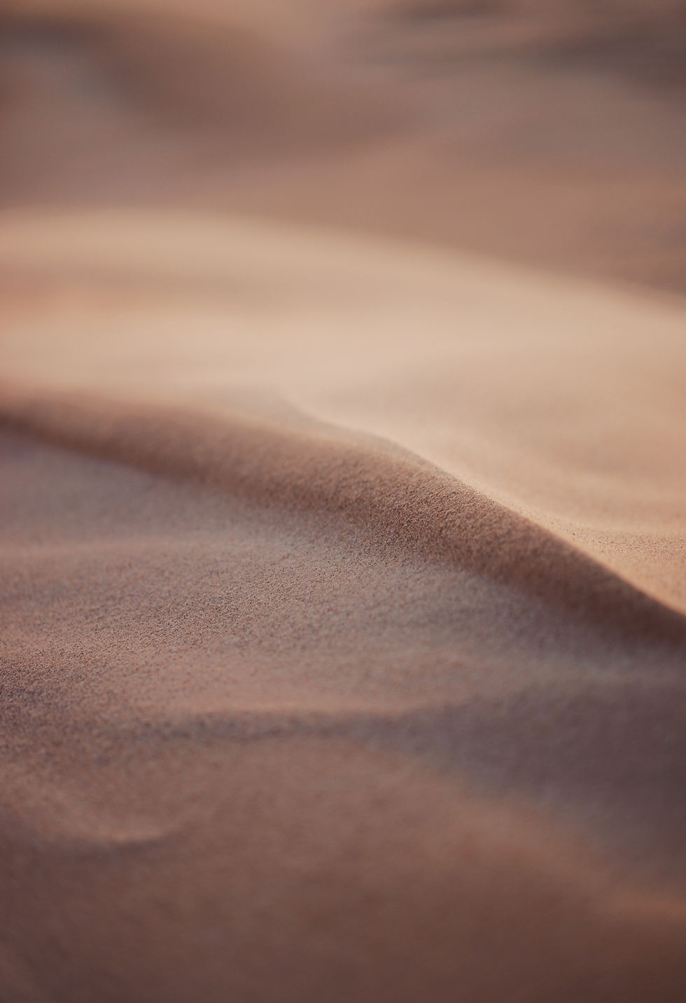 Your first guess might have been a desert, the second guess might have been a beach_edited